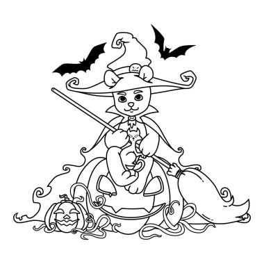 Elinde süpürgeyle cadı şapkası ve manto giymiş oyuncak ayı.