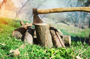 balta ve odun yeşil çimenlerin üzerinde