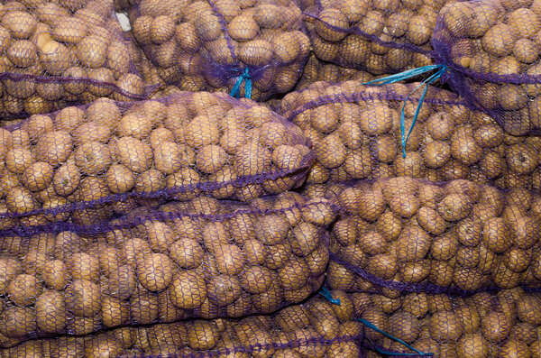 картофель в мешках, овощи, сельское хозяйство
