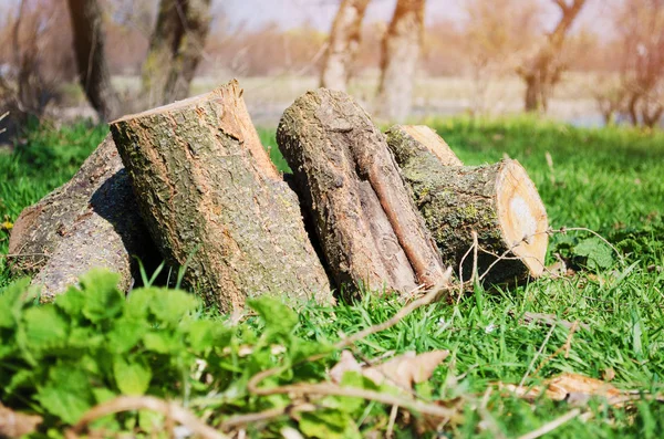 Brandhout op groen gras, outdoor recreatie, lente, zomer — Stockfoto