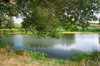 nehir, bulutlu hava, yaz, Ukrayna Kherson