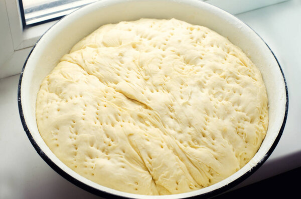 fresh yeast dough in a bowl for pizza or bread. cooking courses. selective focus