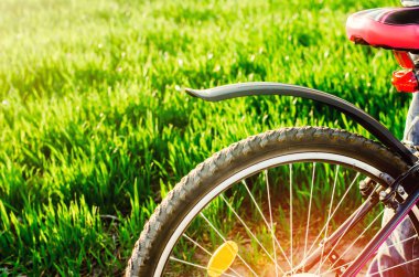 Bisiklet doğaya yakın kadar seyahat, sağlıklı yaşam, ülke yürüyüş