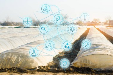 Tarımsal kültür endüstrisinde biyoteknoloji. Yüksek teknoloji ve yenilikler. Çiftçilik ve tarım. Tarım fabrikalarının seçimi. Tarım makineleşmesi. Sebzeler için seralar.