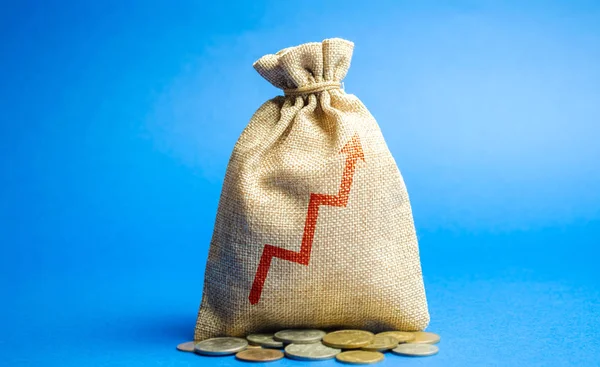Money bag with up arrow. Successful business concept. Profitability and performance. Increase Income and Profit. Capital, budget rise. Accumulation of money