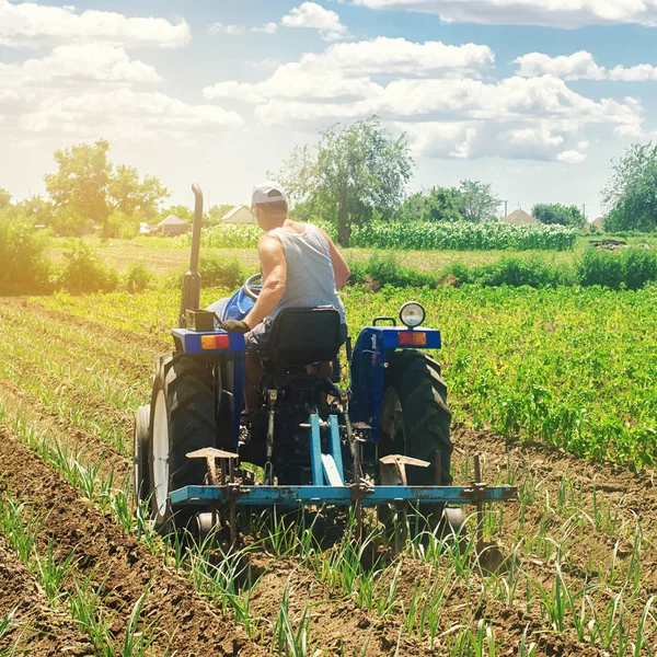 Un agriculteur sur un tracteur laboure un champ. Rangées de poireaux de légumes. Champ de tir. Travaux agricoles saisonniers. Cultures agricoles. Agriculture, terres agricoles. Légumes bio. Protection contre les mauvaises herbes. Concentration sélective — Photo