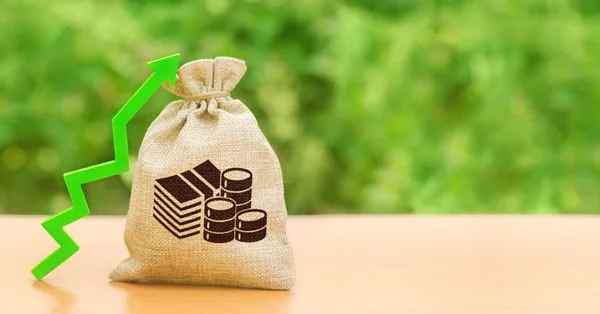 stock image Money bag and a green up arrow. Increase profits, wages and wealth. Investment attraction. loans and subsidies. Favorable conditions for business. The growth of interest on deposits.