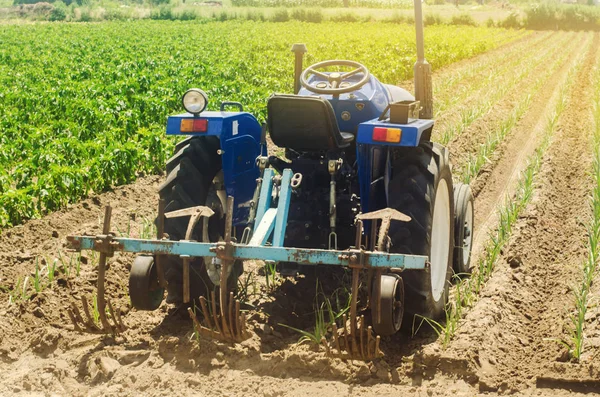 KHERSON, UKRAINE - 30 juin 2019 : Un tracteur laboure un poireau dans un champ. De la terre poudrée. Protection contre les mauvaises herbes. Travaux agricoles saisonniers. Cultures agricoles. Agriculture, terres agricoles. Légumes bio. Concentration sélective — Photo