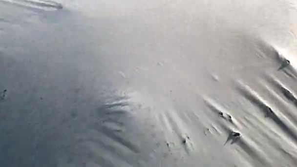 Tarımsal Kumaş Rüzgarda Sallanıyor Buz Korumalı Battaniyeler Baharın Başlarında Genç — Stok video