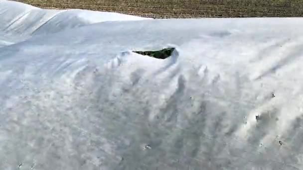 Landwirtschaftliches Gefüge Mit Einem Loch Das Wind Schwankt Frostschutz Schutz — Stockvideo