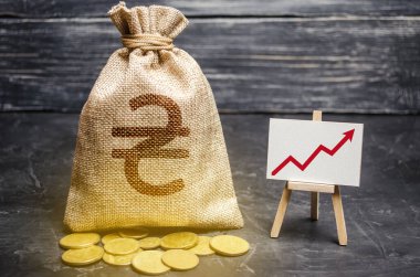 Ukrayna 'nın Hryvnia Uah sembolü para çantası ve kırmızı trend oku. Depozito ve tasarruf. Kâr ve gelir artışı, sermaye artışı, kârlı iş verimliliği. Ekonomik refah