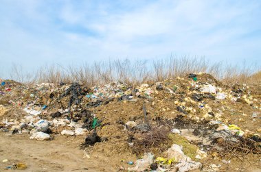 KHERSON, UKRAINE - 28 Mart 2020: ormanda çöp yığını. Doğadaki yasadışı çöplük. Çevre ve hava kirliliği. Gelişmemiş ülkelerde atık ekolojik sorun. Seçici odak