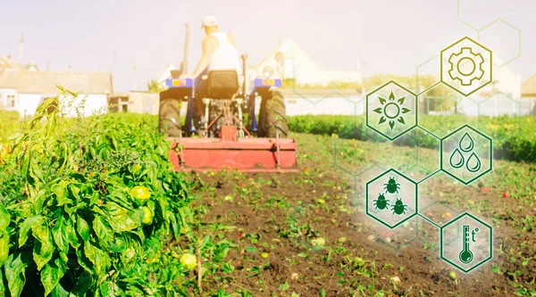 Alta Tecnología Innovaciones Agroindustria Arrancamiento Agrícola Innovación Automatización Mejora Calidad — Foto de Stock