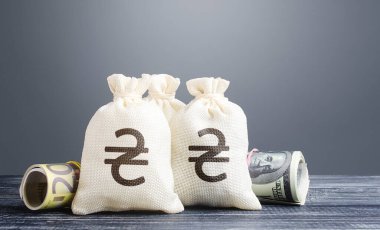 Ukrayna Hryvnia para çantaları ve nakit para. Sermaye yatırımı. Ekonomi, borç verme. Kâr geliri, kâr payı. Yedek para birimi. Bankacılık, para politikası. Kitle fonlama girişimleri yatırım yapıyor.