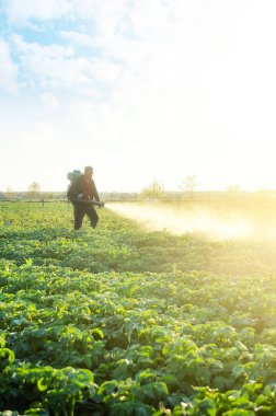 A farmer sprays a potato plantation with pesticides. Protecting against insect plants and fungal infections. The use of chemicals in agriculture. Agriculture and agribusiness, agricultural industry. clipart