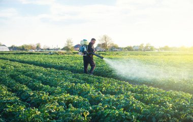 A farmer sprays a solution of copper sulfate on plants of potato bushes. Use chemicals in agriculture. Fight against fungal infections and insects. Agriculture and agribusiness, agricultural industry. clipart