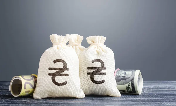 Ukrayna Hryvnia Para Çantaları Nakit Para Sermaye Yatırımı Ekonomi Borç — Stok fotoğraf