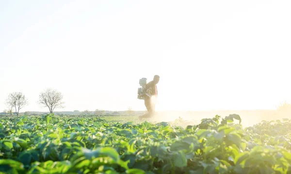 Agricultor Pulverizando Plantas Com Pesticidas Início Manhã Proteção Contra Insetos — Fotografia de Stock