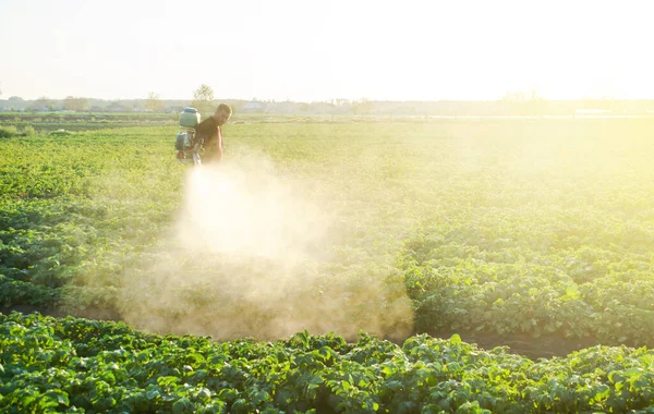 Фермер Опрыскивает Картофельную Плантацию Пестицидами Защита Насекомых Грибковых Инфекций Сельское — стоковое фото