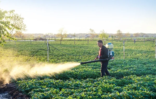 Seorang Petani Menaburkan Tanaman Kentang Dengan Bahan Kimia Antijamur Gunakan — Stok Foto