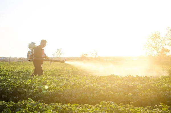 Jeden Farmář Rozstřikuje Roztok Síranu Měďnatého Rostliny Bramborových Keřů Zemědělství — Stock fotografie
