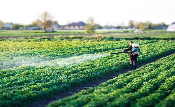 Agricoltore Spruzza Una Soluzione Solfato Rame Piante Cespugli Patate Utilizzare — Foto Stock