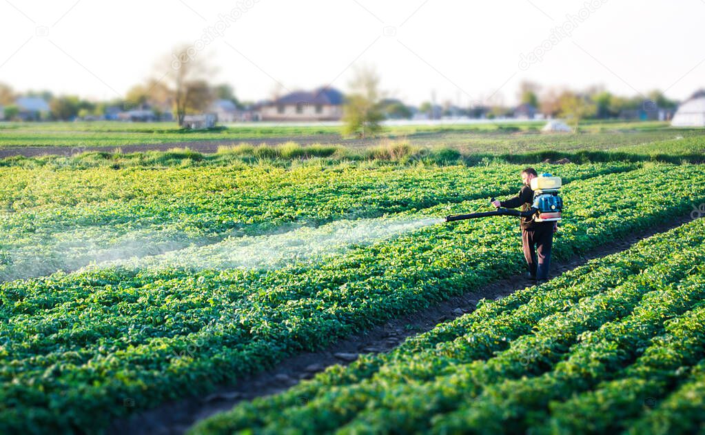 A farmer sprays a solution of copper sulfate on plants of potato bushes. Use chemicals in agriculture. Agriculture and agribusiness, agricultural industry. Fight against fungal infections and insects.