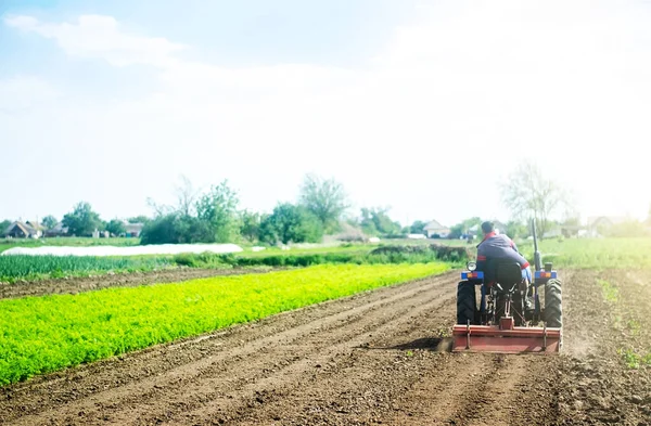 Agricultor Trator Cultiva Campo Antes Novo Plantio Soltando Superfície Cultivando — Fotografia de Stock