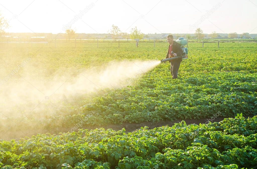 Farmer processing a potato plantation with a sprayer to protect from insect pests and fungal diseases. Reduced crop threat. Plant rescue. Agriculture and agribusiness, agricultural industry.