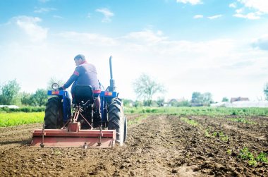 Değirmen makinesi olan bir traktördeki çiftçi toprağı gevşetiyor, öğütüyor ve karıştırıyor. Yüzeyi gevşetmek, ekin için toprağı işlemek. Çiftçilik ve tarım. Tarım teknolojisi ekipmanları