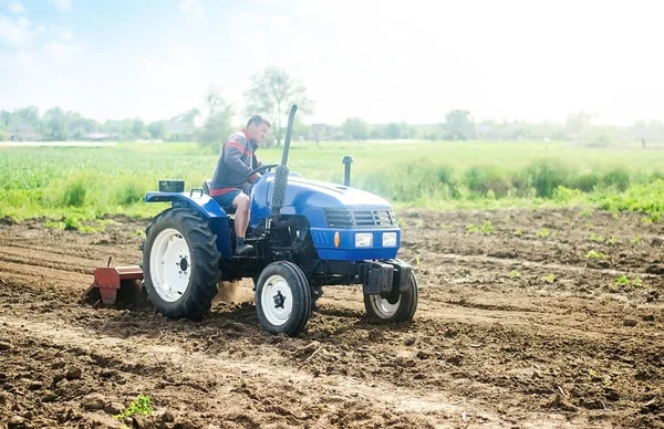 Granjero Tractor Trabaja Campo Cultivo Cultivos Una Pequeña Empresa Familiar —  Fotos de Stock