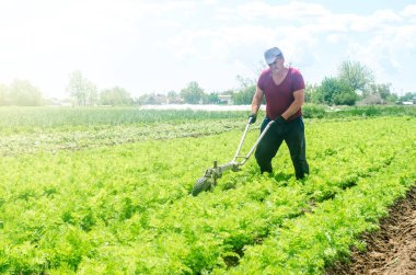 Çiftçi bir havuç çiftliği yetiştiriyor. Toprak ekiyorum. Yabani otları ve otları temizliyorum. Bitkilerin köklerine su ve hava erişimini geliştirmek için toprağı gevşetmek. Çiftçilik ve yiyecek yetiştirme. Yerde çalış.