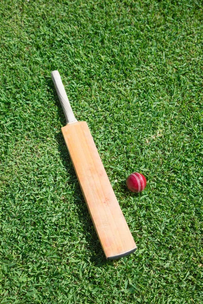 Cricketschläger Und Ball Auf Grünem Gras — Stockfoto