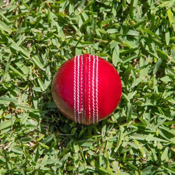 Primer Plano Bola Cricket Cuero Rojo Sobre Hierba Verde Críquet — Foto de Stock