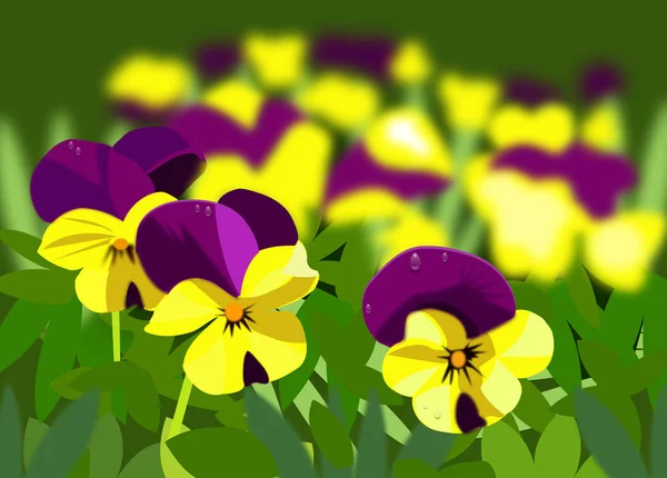 Bloemen Gele Paarse Een Natuurgebied — Stockvector