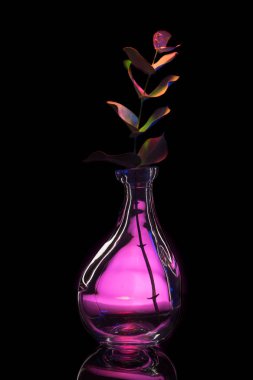 Şişe fabrikasında