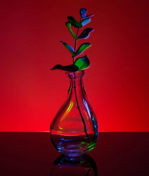 The plant in the bottle