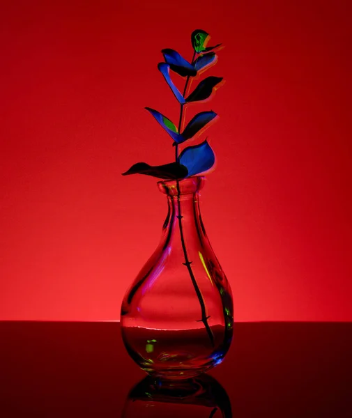 The plant in the bottle