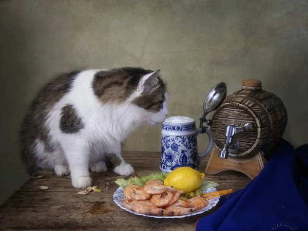 Nature Morte Avec Crevettes Curieux Chat Tacheté — Photo