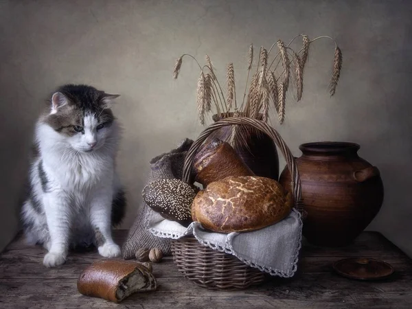 Nature Morte Avec Pain Curieux Chat Tacheté — Photo