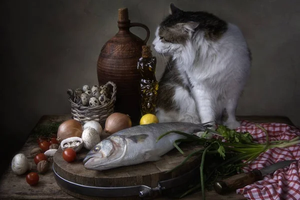 Still life with fish and curious cat