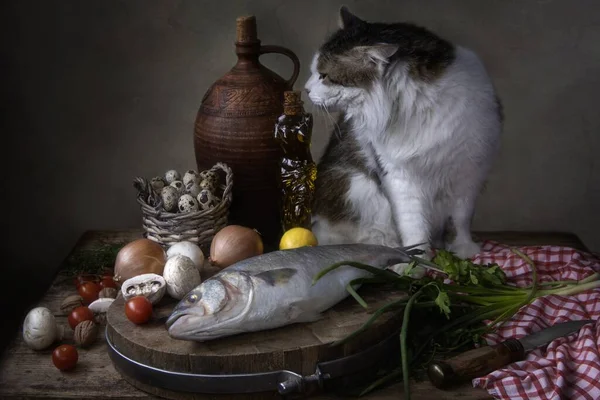 Nature Morte Avec Des Poissons Chat Curieux — Photo