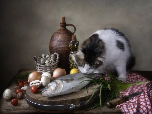 Nature Morte Avec Des Poissons Chat Curieux — Photo