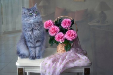 Güzel gri kedi ve pembe gül sepeti