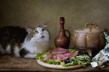 Tütsülenmiş et ve aç kediyle sakin bir hayat