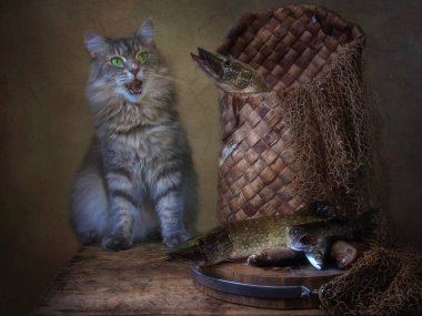 Büyük turna balığı ve meraklı kedi yavrusuyla hayat
