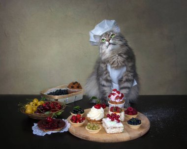 Genç gri kepli aşçı şapkası
