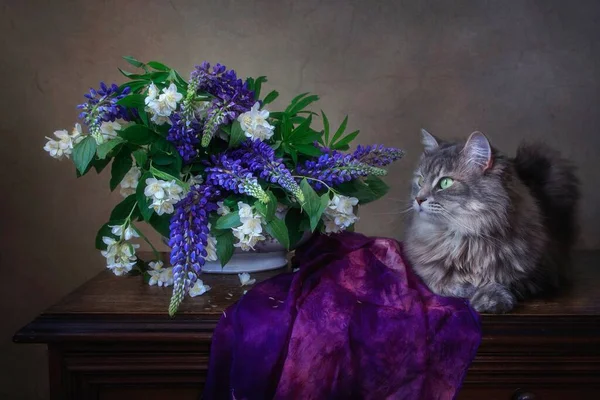 Natura Morta Con Bellissimi Fiori Adorabile Gattino — Foto Stock