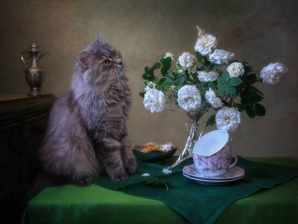 まだ生活とともに花束の白いバラと好奇心子猫 — ストック写真