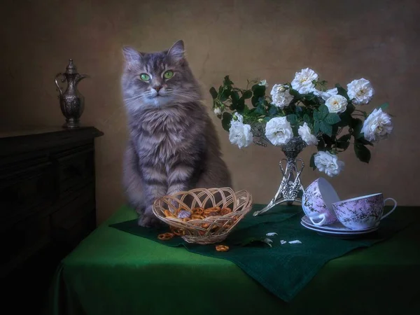 Nature Morte Avec Bouquet Roses Blanches Chaton Curieux — Photo